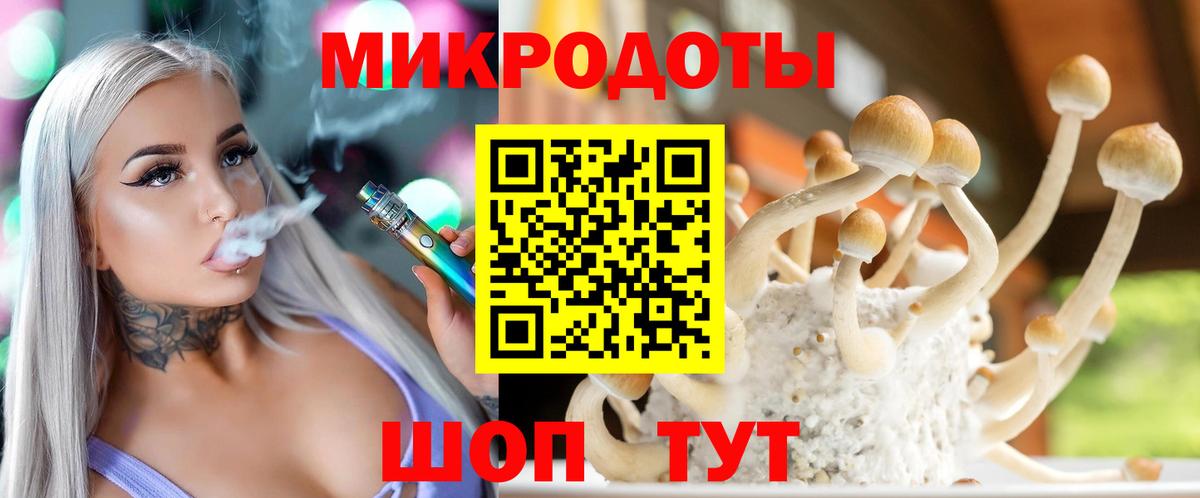 Галлюциногенные грибы прущие грибы  Вход с VPN  Находка 
